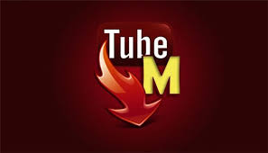 descarga de videos tube