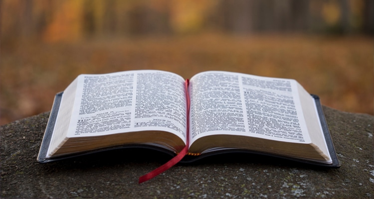 Aplicaciones para leer la biblia