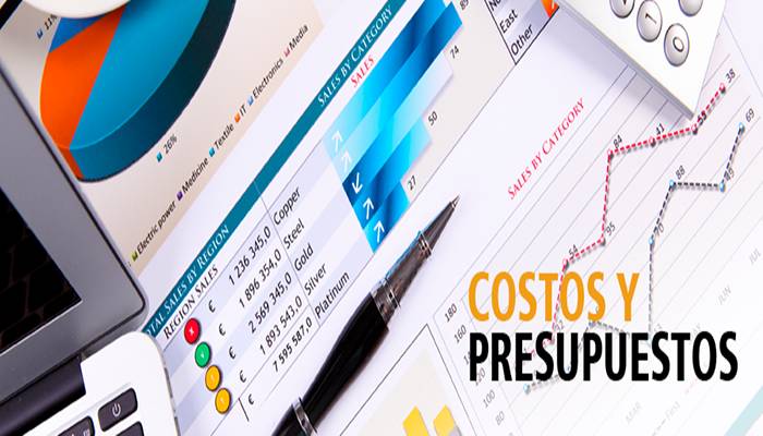 software para costos y presupuestos