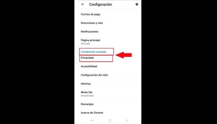 Secciona "Configuración Avanzada" y luego "Privacidad".