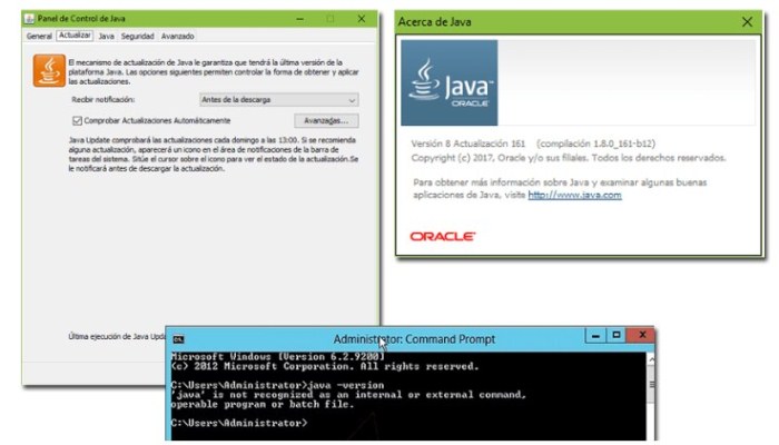 Saber tu versión de Java