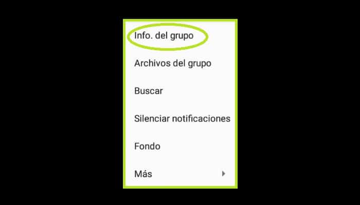 Elige la opción "Información del grupo"