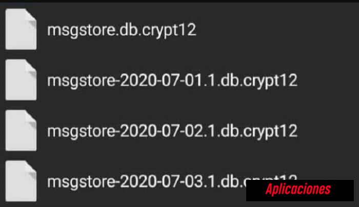 Características del archivo CRYPT12