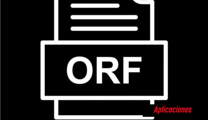 Características de un archivo ORF
