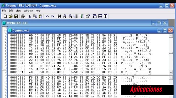 4. Cygnus Hex Editor